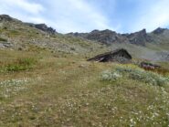 All'Alpe Gran Vaudala.