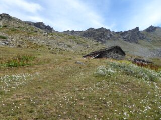 All'Alpe Gran Vaudala.