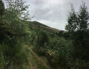 Monticchio e Alpe Mosino