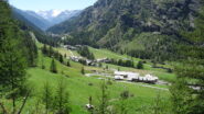 Plantè