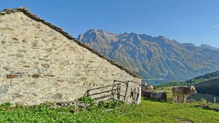 Passo all'alpeggio di Ca d'Starnam 2024mt.