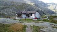 Rif. Miller 2166mt.