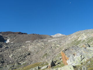In vista della mèta