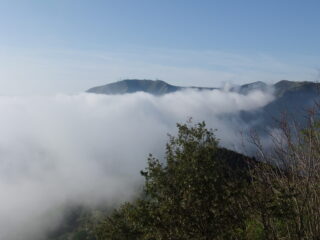 Improvvisamente monta la nebbia ...