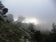 Discesa nella nebbia