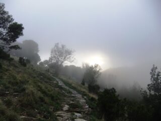 Discesa nella nebbia