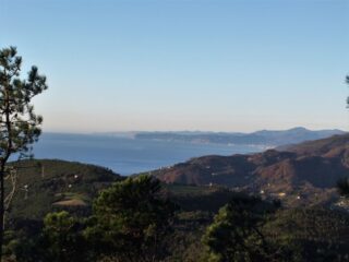 Panorama sul mare