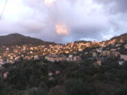 Ruta