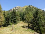 Alla Colla Bassa nel pomeriggio : al centro il canalone di salita 