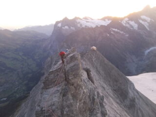 in cresta con la Mittelegihutte ancora ben visibile..