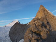 la cresta ormai tutta al sole..