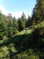 appena lasciata Cerogne