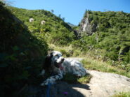 ...pausa in salita....