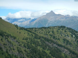 vista verso il Rocciamelone