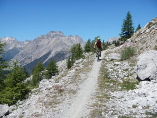 sullo sfondo a sinistra il Monte Thabor