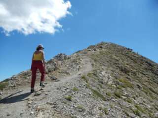 sulla cresta del Sommet du Tronchet