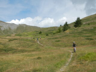......o in single track.... verso il sentiero Gelindo Bordin