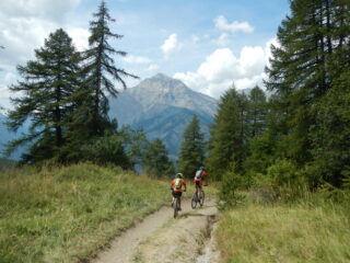 discesa verso Autagne; sullo sfondo il Monte Chaberton