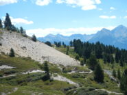 single track molto bello