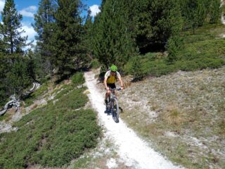 l'inizio della discesa nel bosco