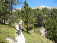 iniziano i tratti più tecnici