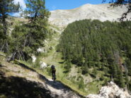 ambiente molto bello