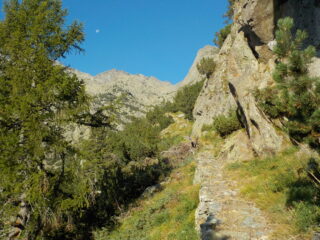 Ormai fuori dal bosco