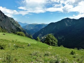I prati sotto le gr. Soleglio Bue