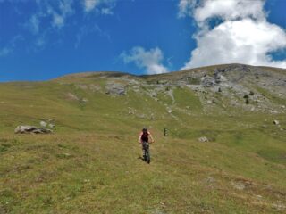 Sui prati all'altezza della bergeria dell'Assietta