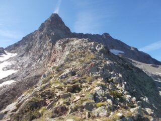 la cresta verso il Passo dei Ghiacciai