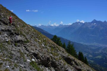 Sul vecchio sentiero che taglia il versante Sud del M.Saron