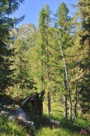 Dal colle del Ragno sguardo sulla cima