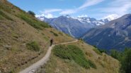 Single trek verso gimillan
