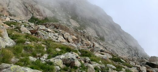 Incontri ravvicinati in discesa