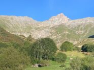 autaret e pelvo di ciabrera