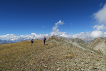 comoda cresta da seguire