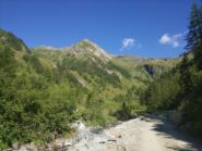 Salendo poco sopra Piamprato