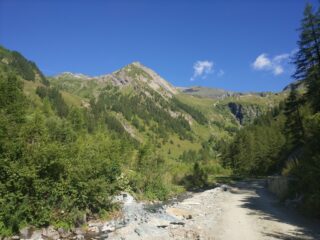 Salendo poco sopra Piamprato