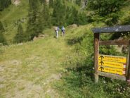 La deviazione che consiglio di ignorare (traccia labile)