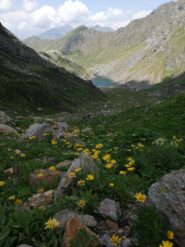 lago di Sasso dall'alto
