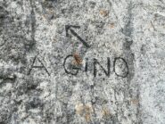 dig