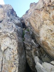 canalino