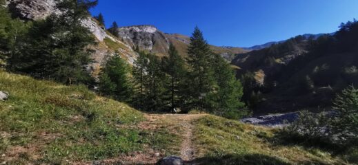 il tratto iniziale del sentiero poco sopra il parcheggio di Prè Fontana Borca