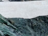 Uno stambecco davvero 