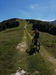 La bella dorsale prima di Cima Robert