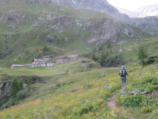Arrivo all'Alp. du Mont Forciaz