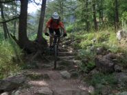 Taglio finale per arrivare al parcheggio alto delle Terme