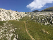 Il sentiero verso il Colle della Gaina