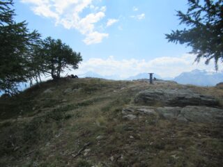 Il meritato riposo all'ombra ...