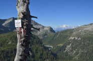Il Larice secco e il Lago di Larecchio